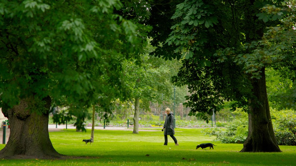 Castle Park qui includes un parc aussi bien que une femme seule