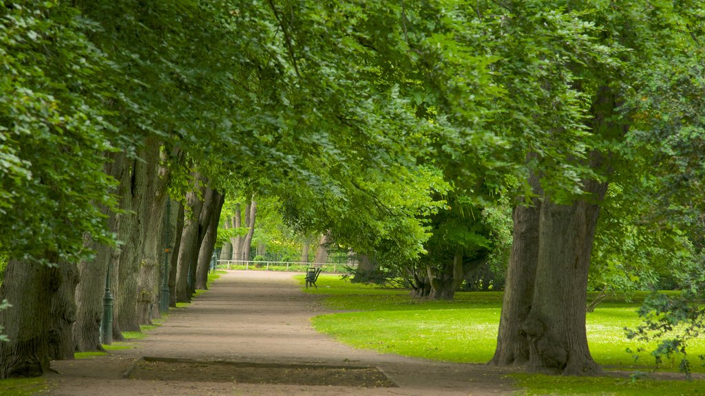 Castle Park which includes a park