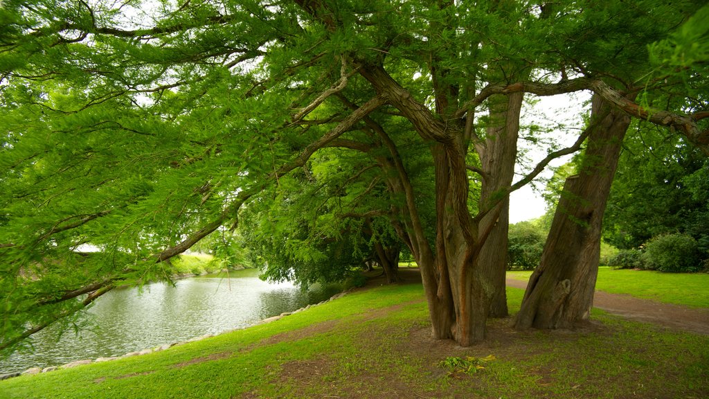 Castle Park which includes a river or creek and a garden