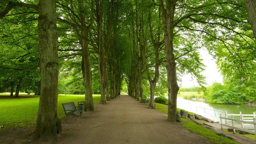 Slottsparken ofreciendo un río o arroyo y un jardín