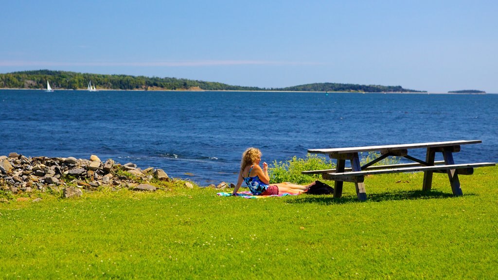 Point Pleasant Park showing general coastal views as well as an individual female