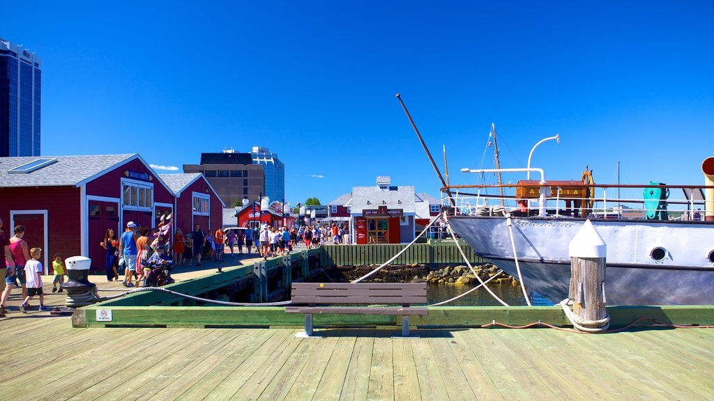 Maritime Museum of the Atlantic showing a marina and street scenes