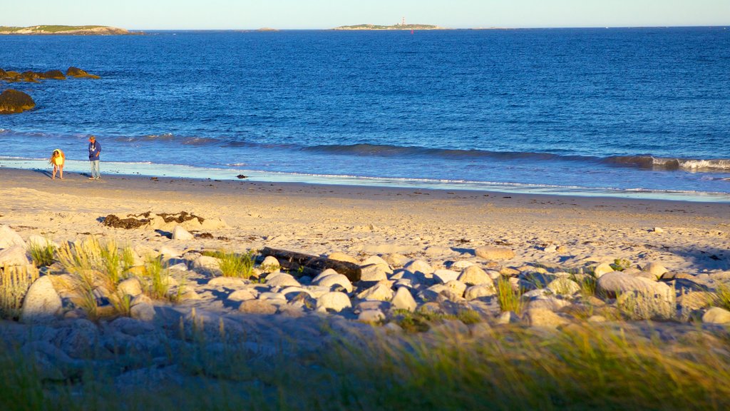 Crystal Crescent Beach showing landscape views and a beach