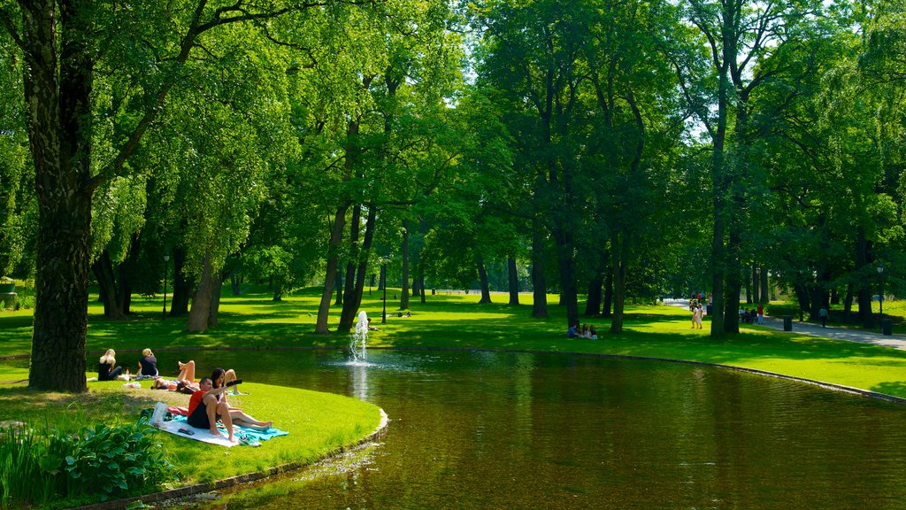 Palace Park showing a garden, a pond and picnicking