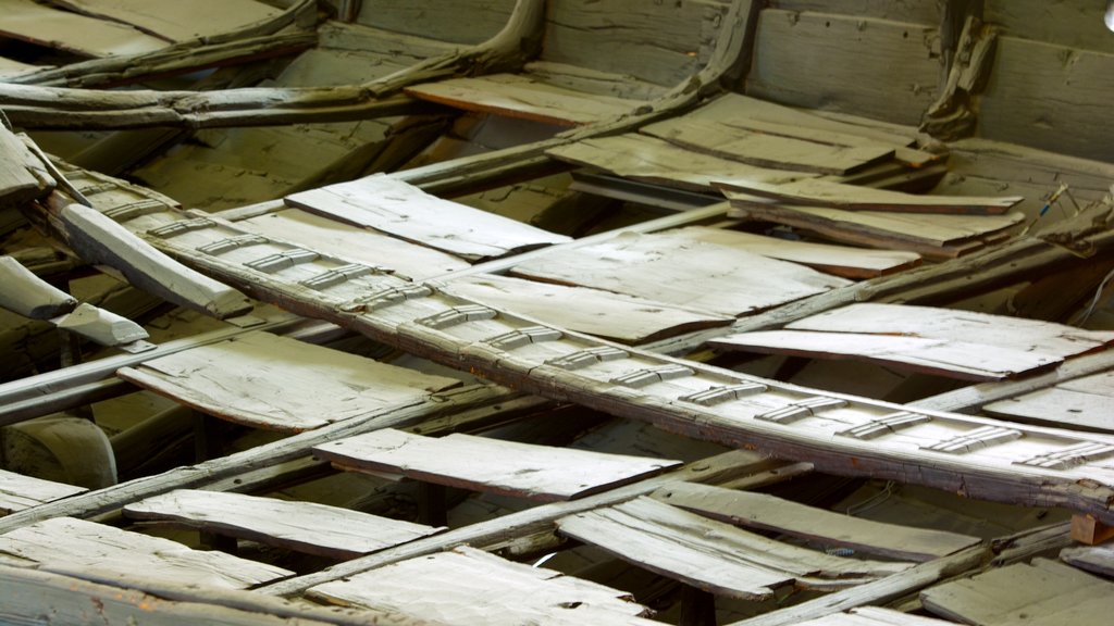 Viking Ship Museum showing interior views