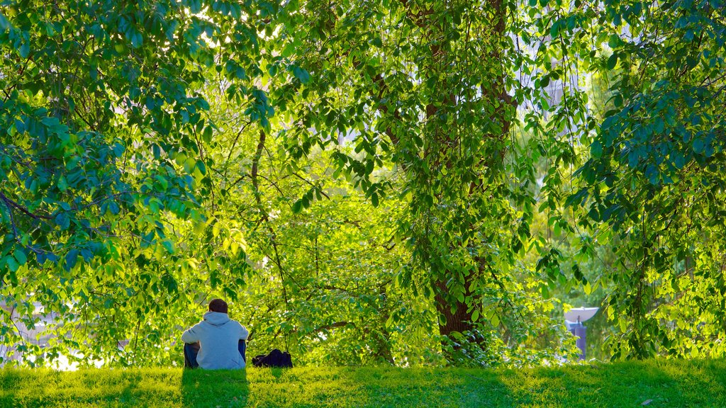 Akershus Fortress showing a park as well as an individual male