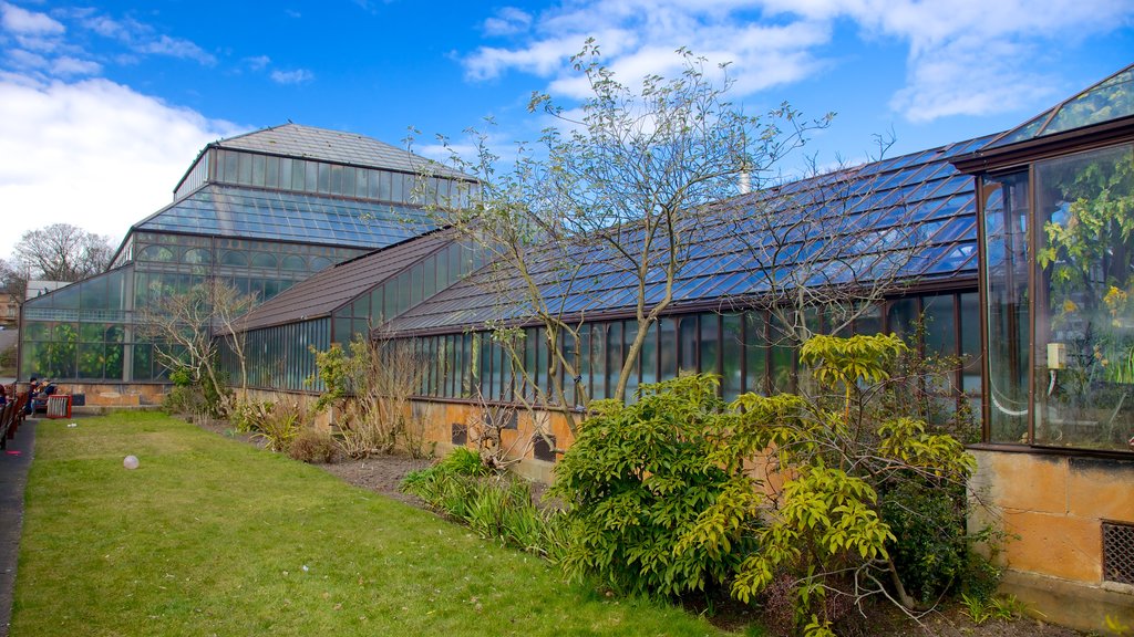 Botanic Gardens showing a garden