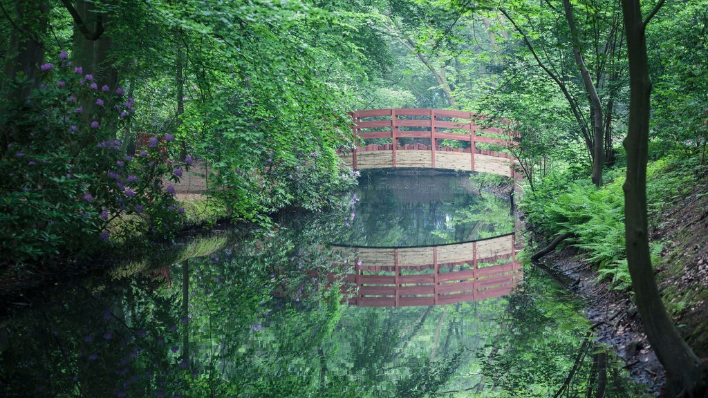 Middelheim Museum which includes a garden and a bridge