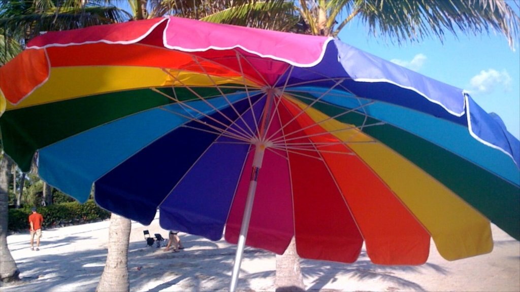 Miami caracterizando uma praia de areia e cenas tropicais