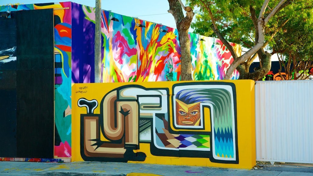 Wynwood Art District showing outdoor art