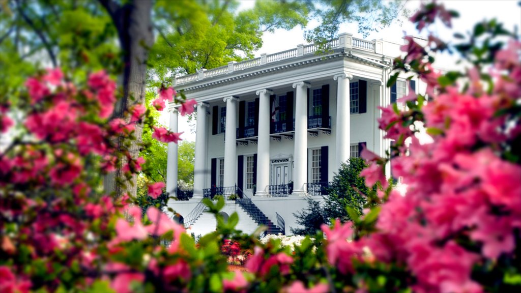 Tuscaloosa caracterizando arquitetura de patrimônio, flores e um castelo