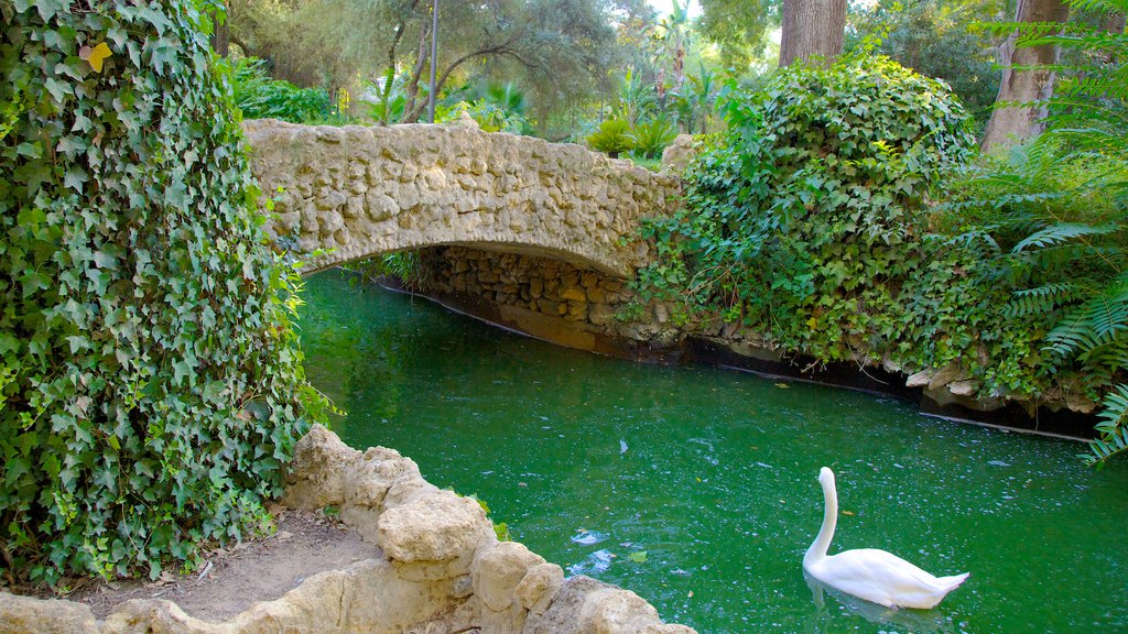 Parque de María Luisa caracterizando um rio ou córrego, uma ponte e vida das aves