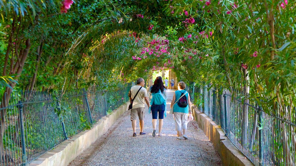 Palacio del Generalife mostrando jardín y también un pequeño grupo de personas