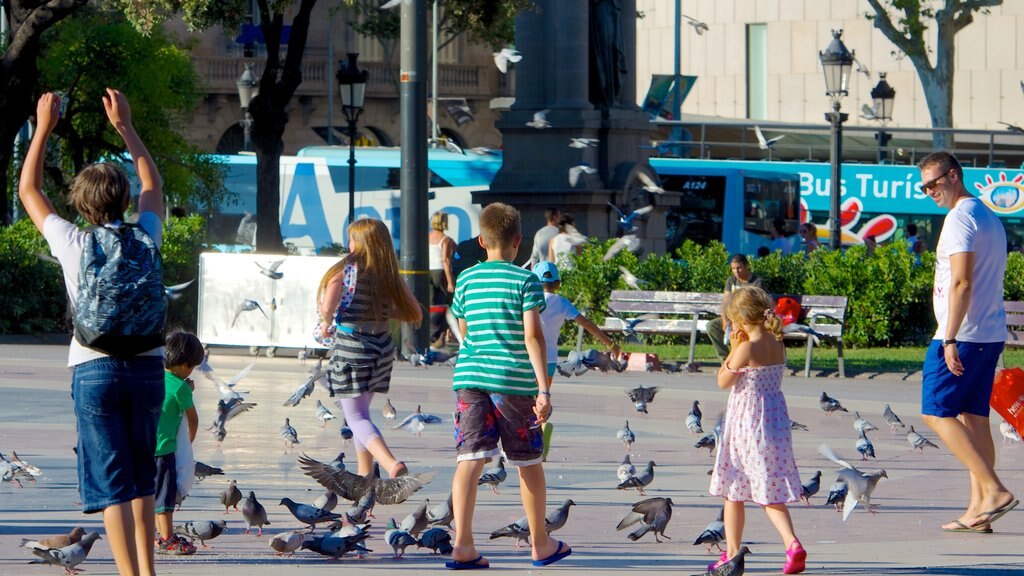 Placa de Catalunya showing bird life and a square or plaza as well as a family