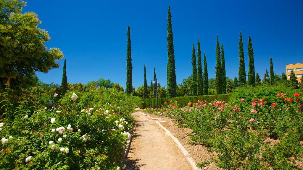 Parque Garcia Lorca showing flowers and a park