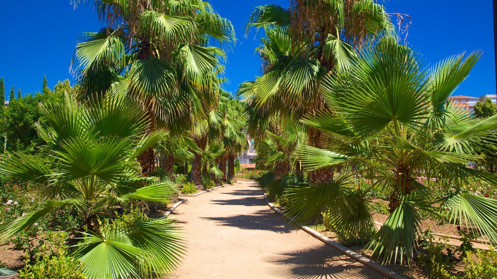 Parque García Lorca mostrando un jardín