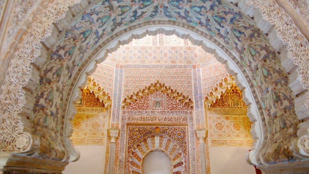 Madraza of Granada featuring interior views and heritage elements