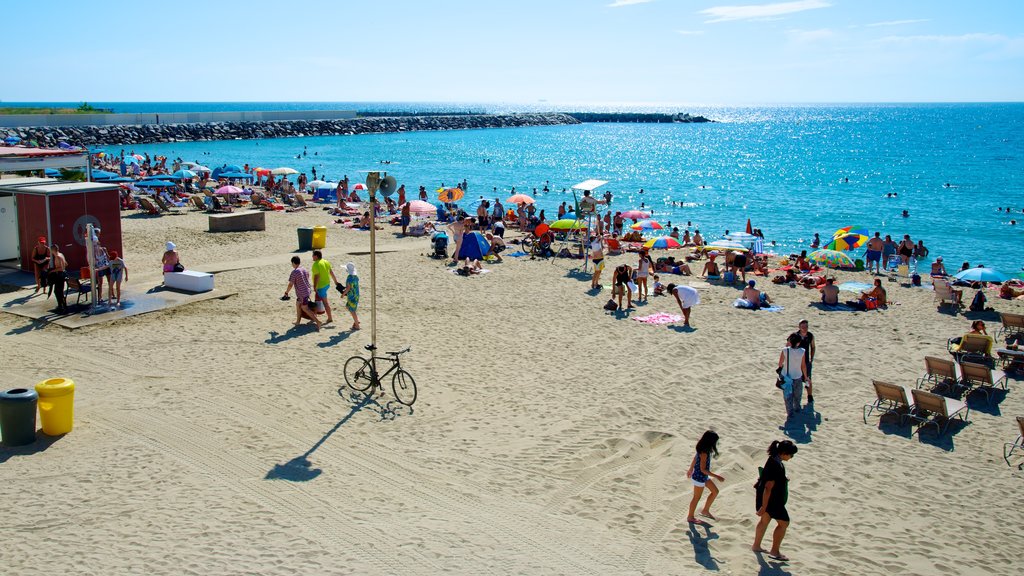 Llevant Beach mostrando una playa de arena y vistas generales de la costa y también un pequeño grupo de personas