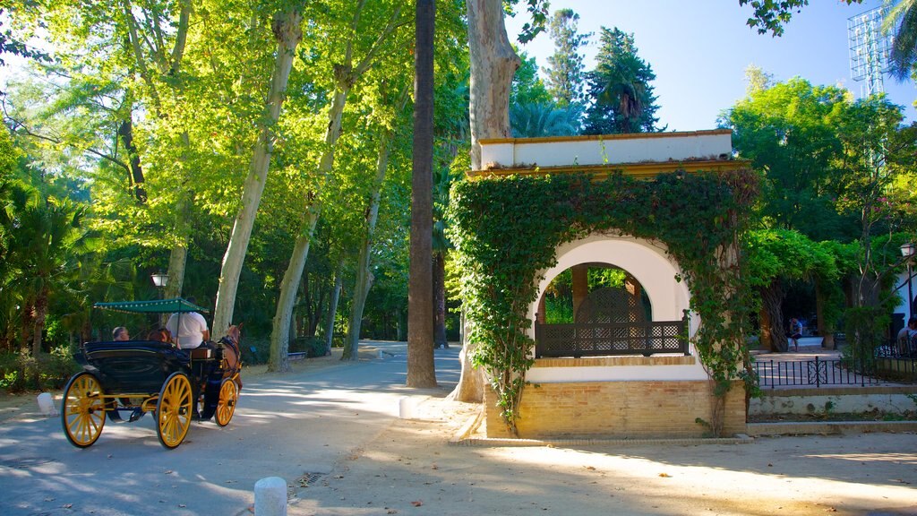 Parque de María Luisa ofreciendo jardín