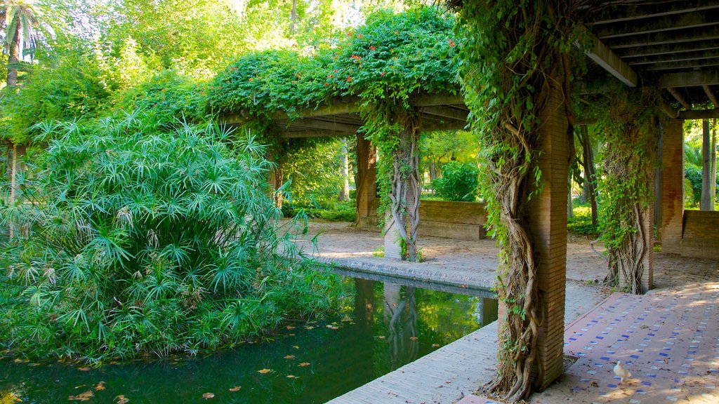 Maria Luisa Park showing a pond and a garden