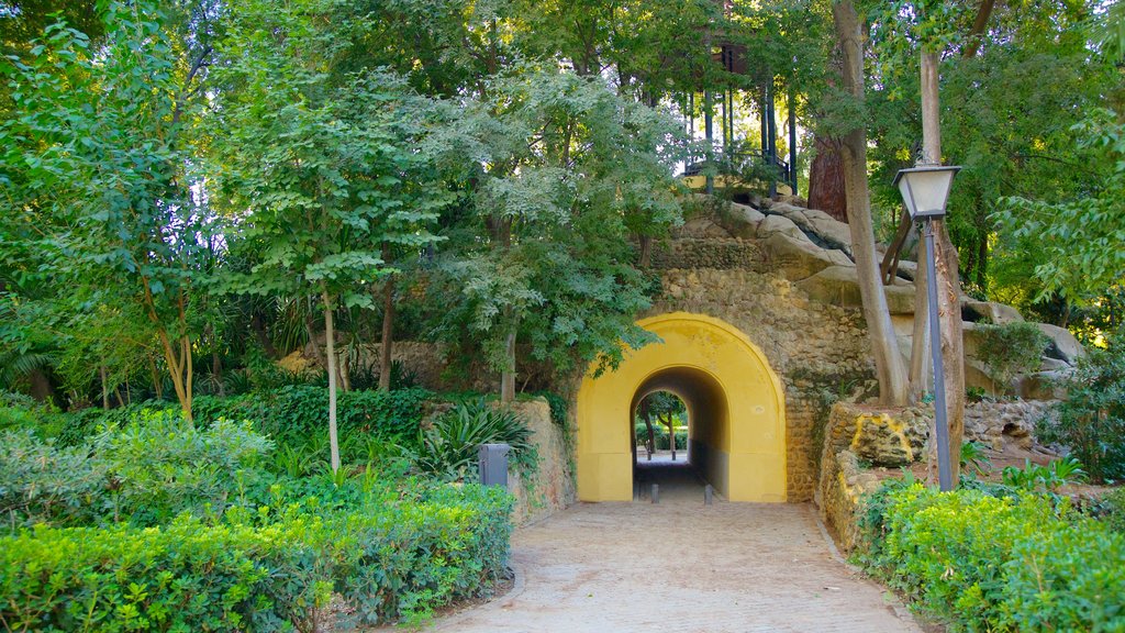 Maria Luisa Park featuring a garden