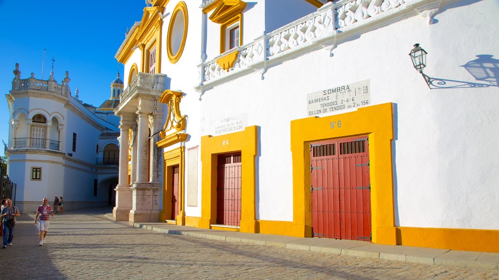 Plaza de Toros de la Real Maestranza featuring heritage architecture and street scenes