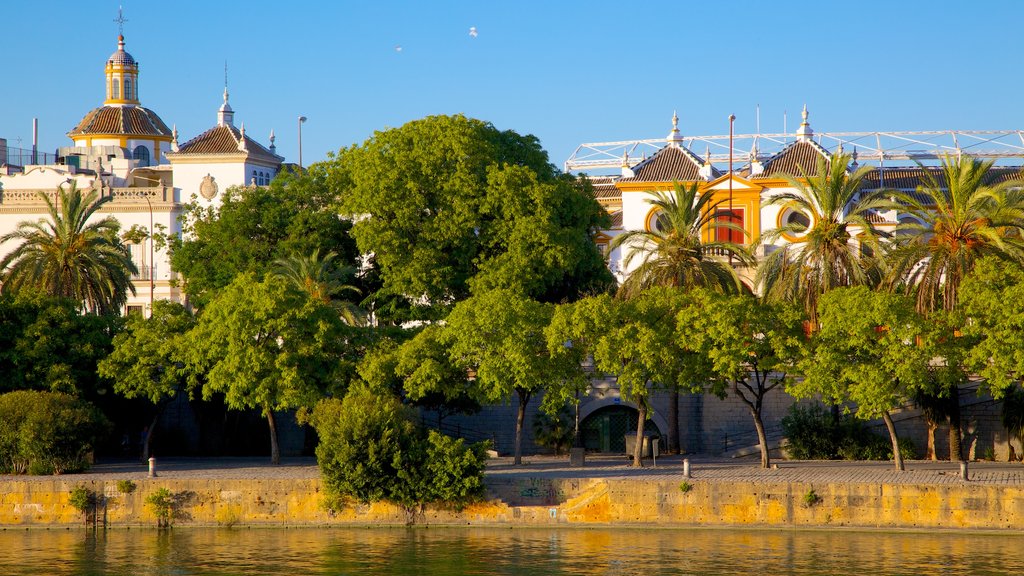 Plaza de toros de la Real Maestranza mostrando un río o arroyo