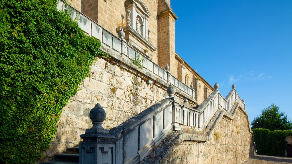 Granada karteuserkloster fasiliteter samt historisk arkitektur og kirke eller katedral