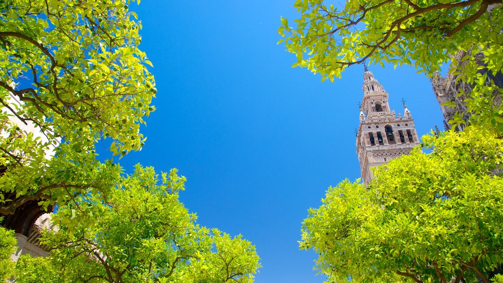 Sevilla Katedral som omfatter en kirke eller en katedral