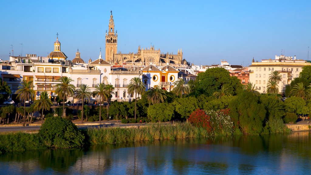 Seville Cathedral featuring skyline, heritage architecture and a river or creek