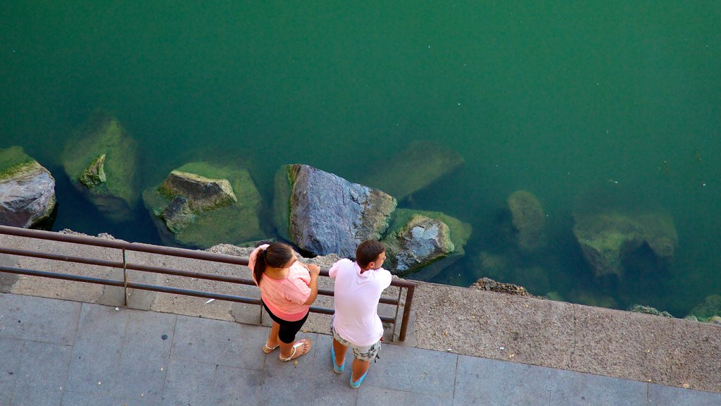 Puente de Triana que incluye vistas y vistas generales de la costa y también una pareja