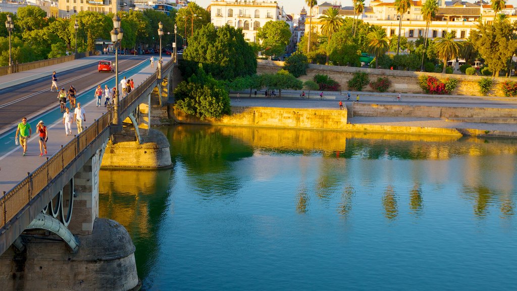 Triana Bridge featuring a river or creek, a bridge and a city