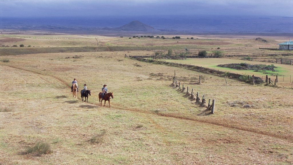 Parker Ranch Center featuring farmland, tranquil scenes and horse riding