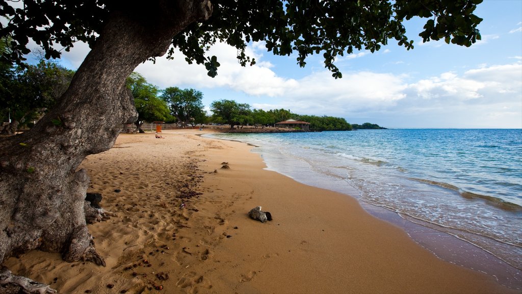 Kawaihae som omfatter en sandstrand