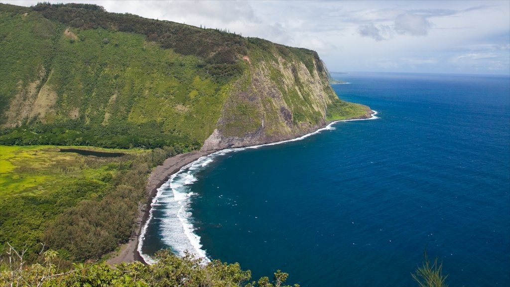 Honokaa which includes landscape views, general coastal views and a gorge or canyon