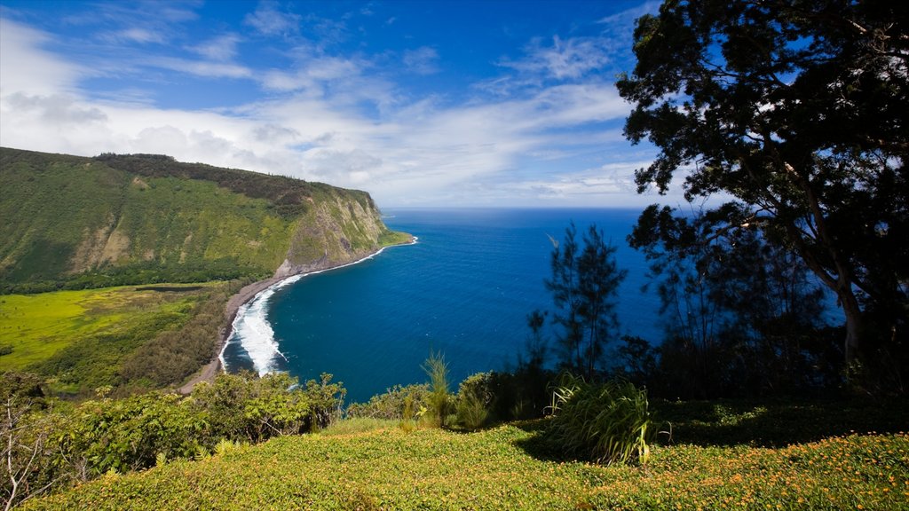 Honokaa que inclui um desfiladeiro ou canyon, paisagens litorâneas e paisagem