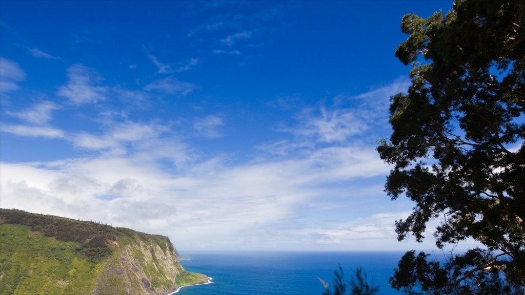 Honokaa que incluye una garganta o cañón, vista general a la costa y vista panorámica