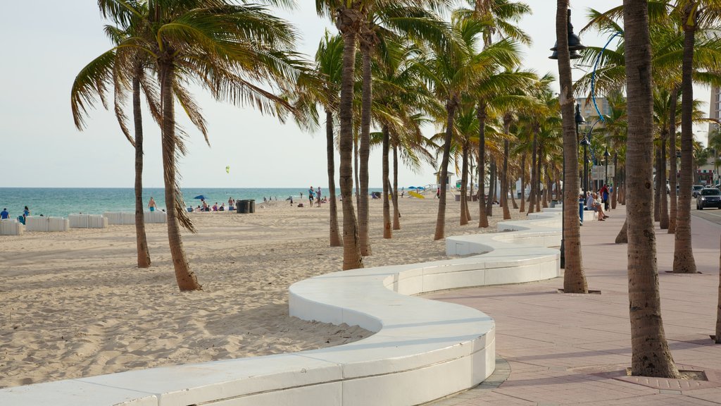 Fort Lauderdale Beach mostrando escenas tropicales, una playa y imágenes de calles