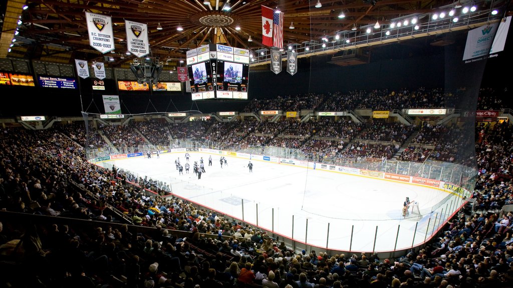 Pacific Coliseum showing ice skating, a sporting event and interior views