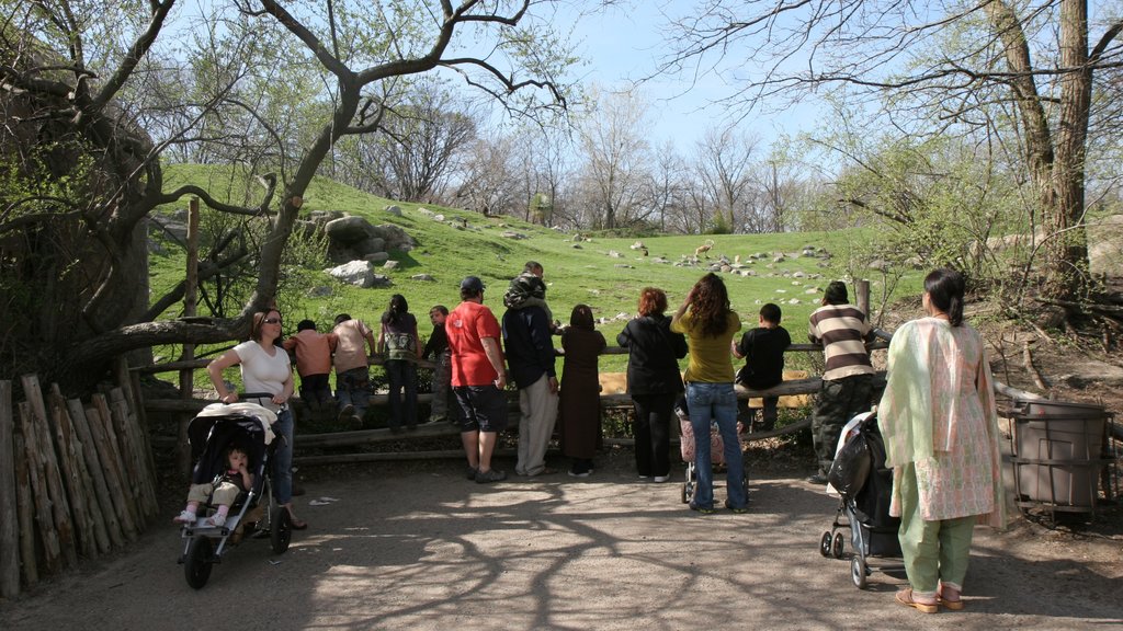 Bronx Zoo som viser dyr fra zoologisk have såvel som en stor gruppe mennesker