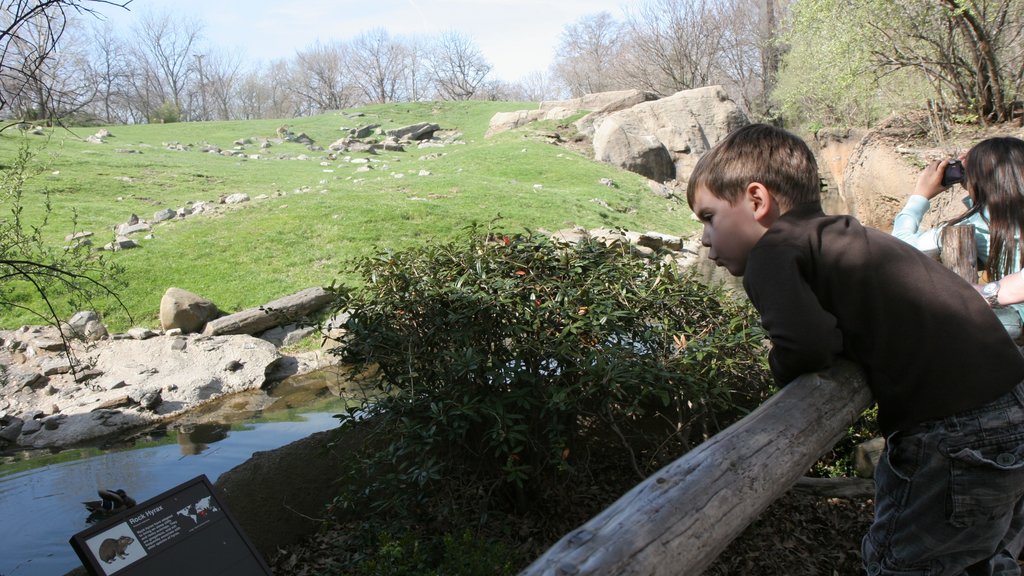 Bronx Zoo showing zoo animals as well as an individual child