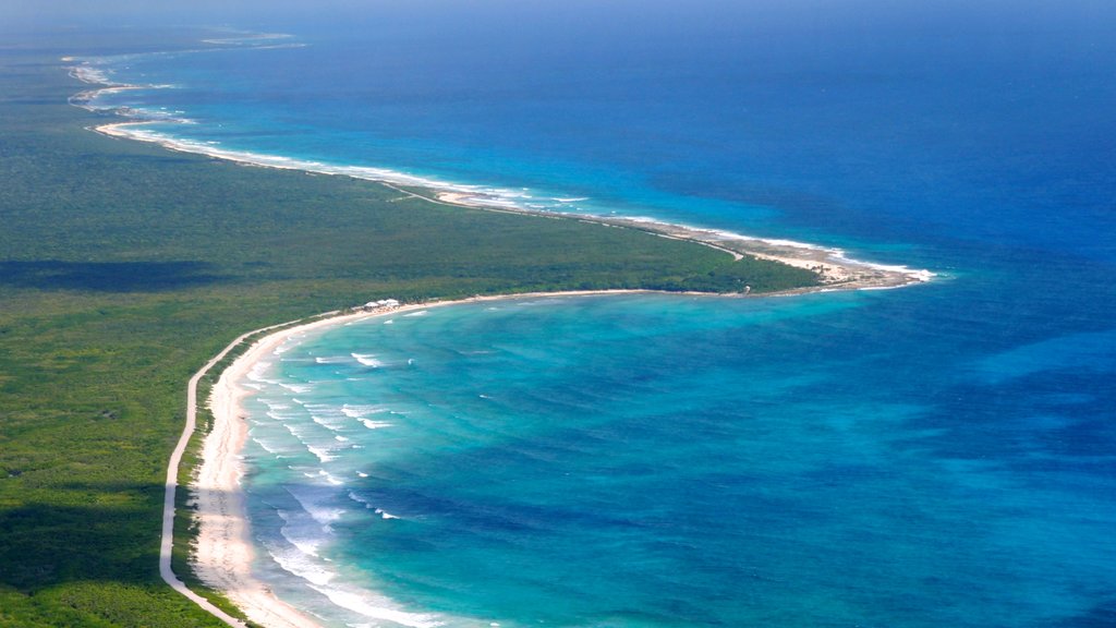 Cozumel som omfatter tropiske områder, en sandstrand og udsigt over kystområde