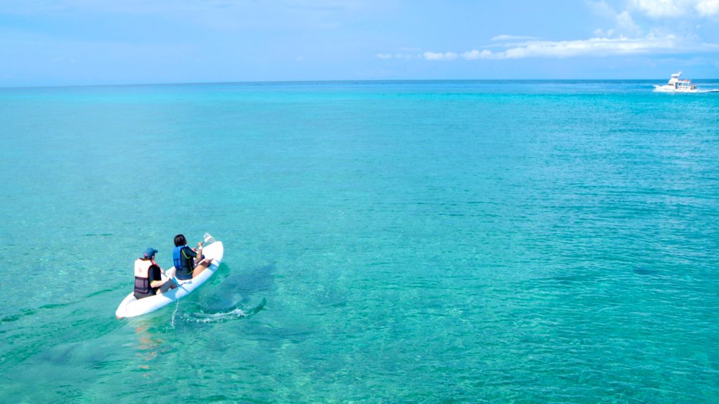 Cozumel som viser tropiske områder og kajaksejlads eller kanosejlads såvel som et par