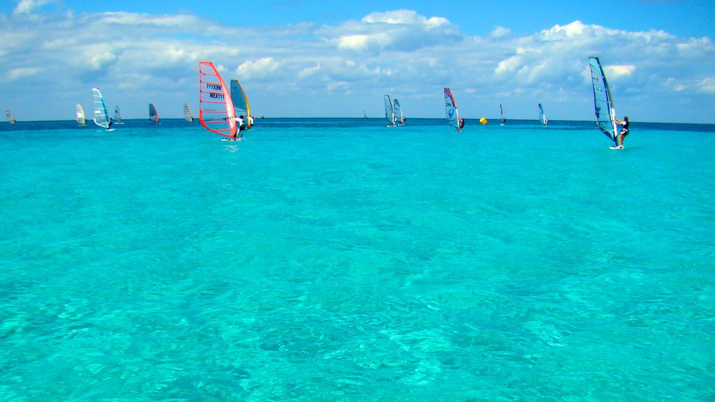 Cozumel which includes tropical scenes, landscape views and windsurfing