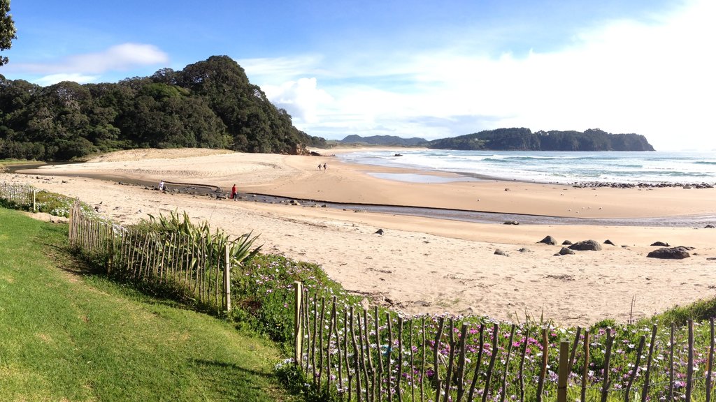 Hot Water Beach mostrando paisagem, cenas tropicais e uma praia de areia