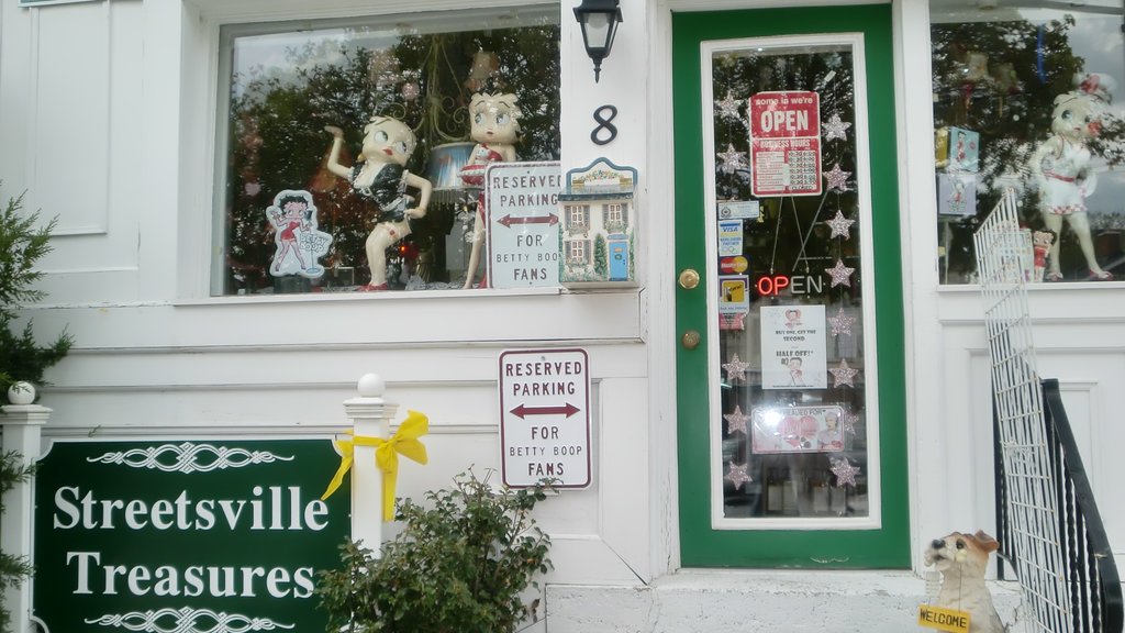 Streetsville showing signage and shopping