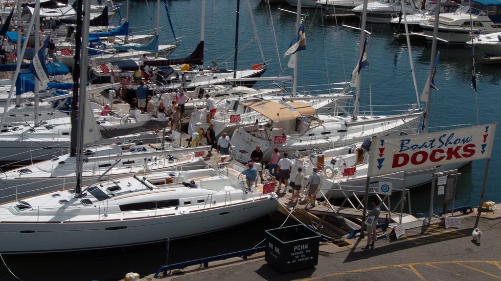 Port Credit showing a marina and signage