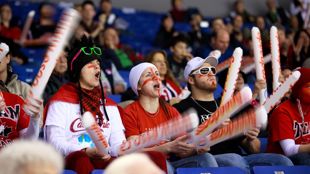 Doug Mitchell Thunderbird Sports Centre showing a sporting event and interior views as well as a small group of people