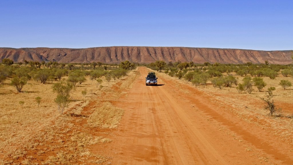 Red Centre mostrando vista al desierto, una garganta o cañón y excursiones en vehículos