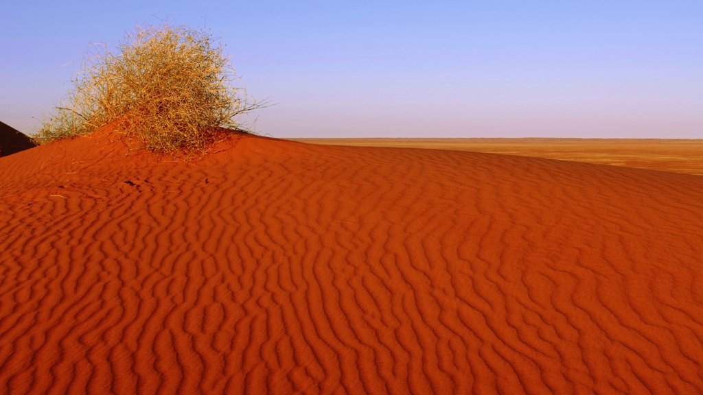 Red Centre mostrando paisagem e paisagens do deserto